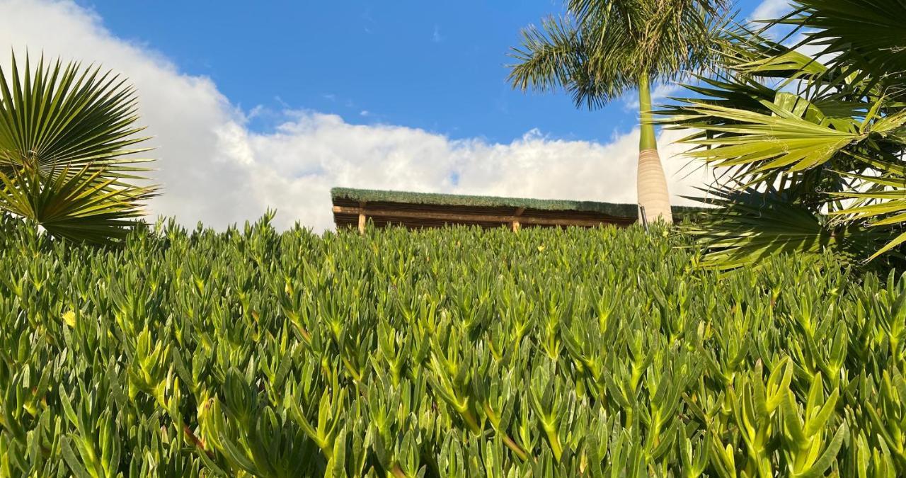 Finca Gaia La Segunda Guía de Isora Extérieur photo
